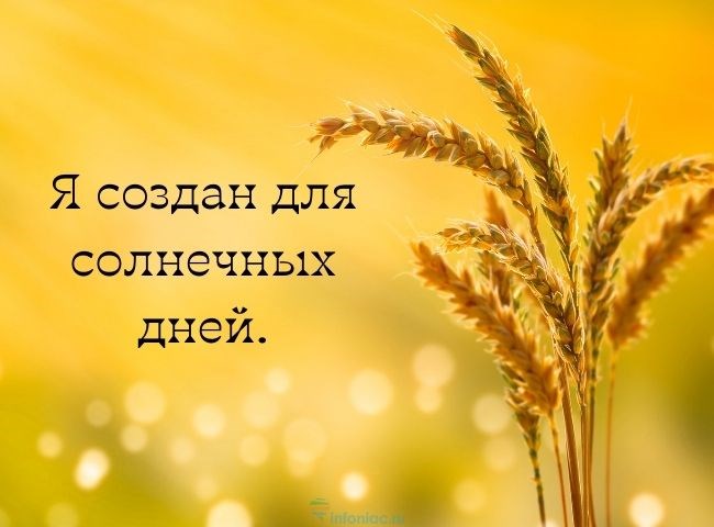 Весна Стучится в Окна Поет на Все Лады Горят – Песня на 8 марта Весна Стучится в Окна Поет на Все Лады Горят – Песня на 8 марта