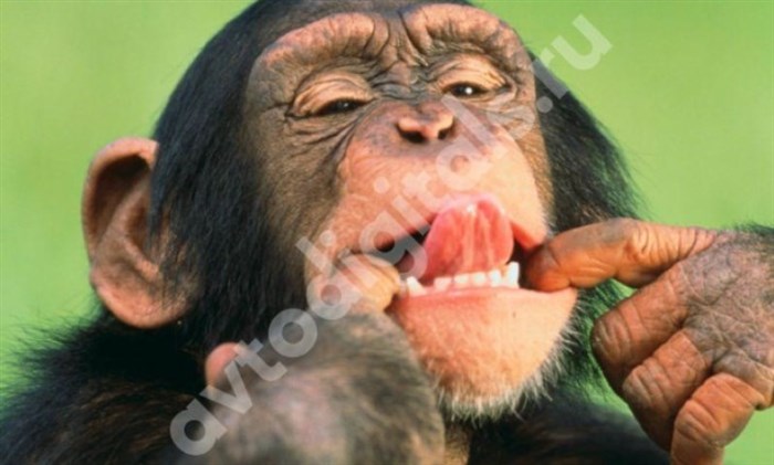 Не Горит Лампочка Открытой Двери Тойота – Сообщающие о неисправности