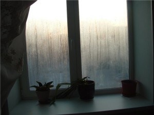 На Подоконнике Окна Стоит Ваза Тип Ошибки – Home and garden На Подоконнике Окна Стоит Ваза Тип Ошибки – Home and garden